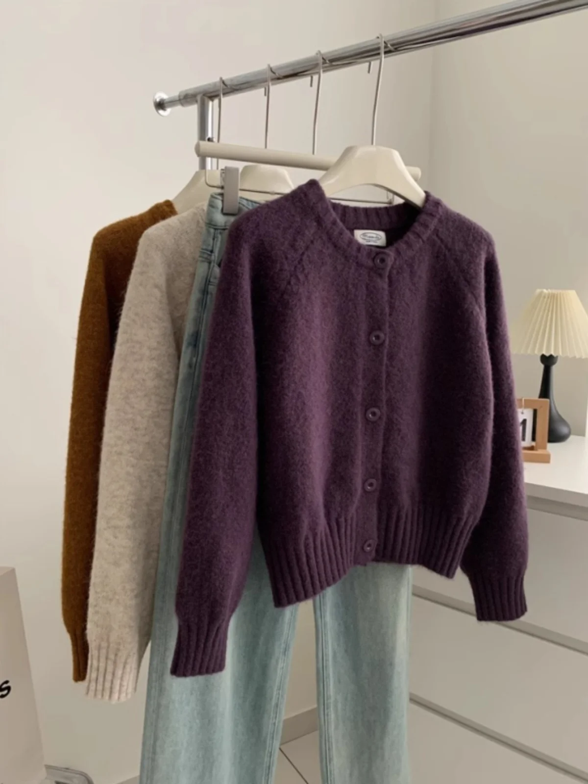 European Goods High-Grade Purple round Neck Raccoon Velvet Sweater Outerwear Women Autumn and Winter Soft Glutinous Idle Sl...