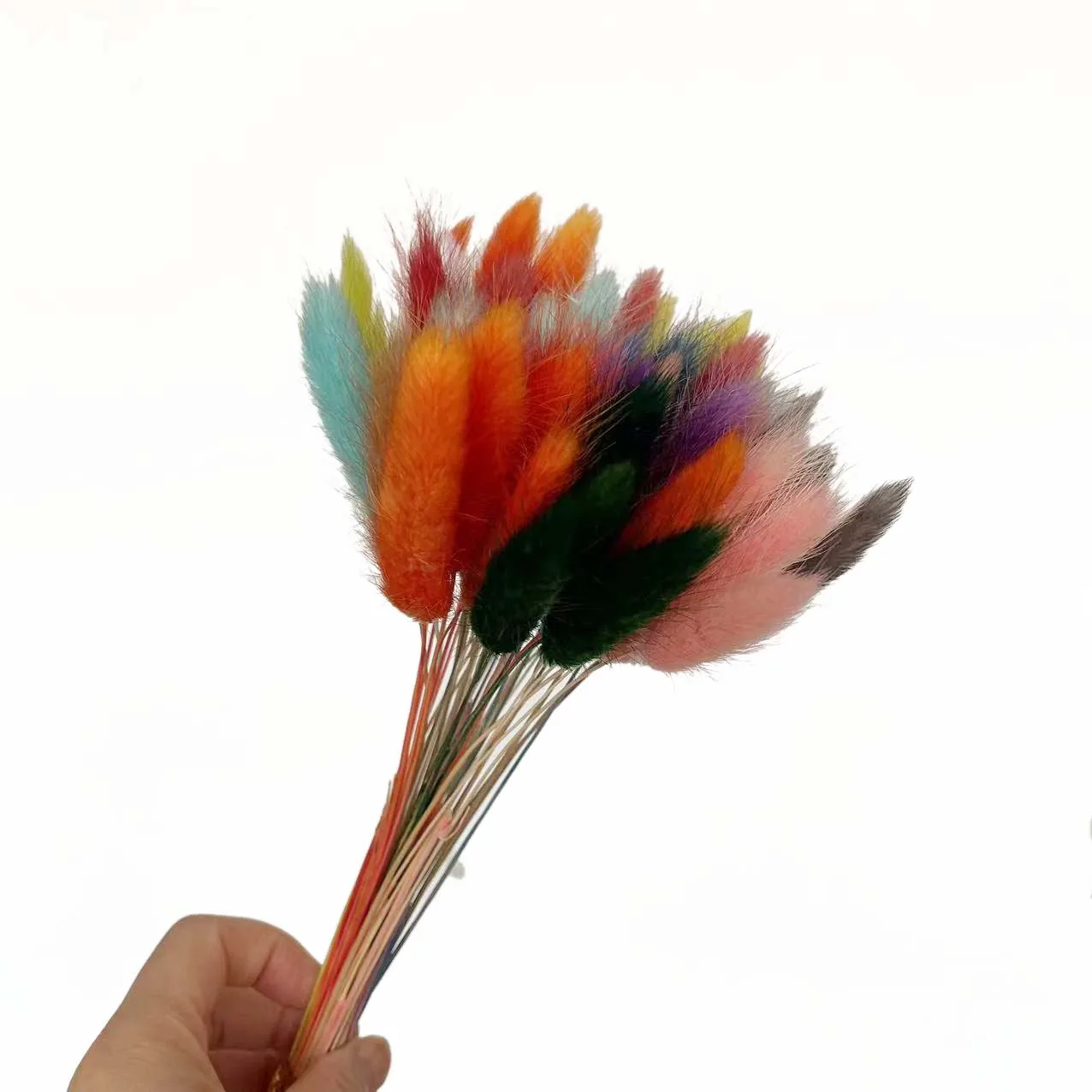 

Сухие цветы зайцехвостник NYAConfetti 50 шт.