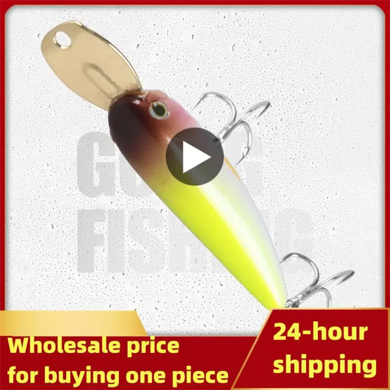 

Hard Baits Sinking Pencil Fishing Lure Illex Riser Bait Small Metal Lip Wobbler Jerkbait Minnow 40mm Fishing Bass Trout