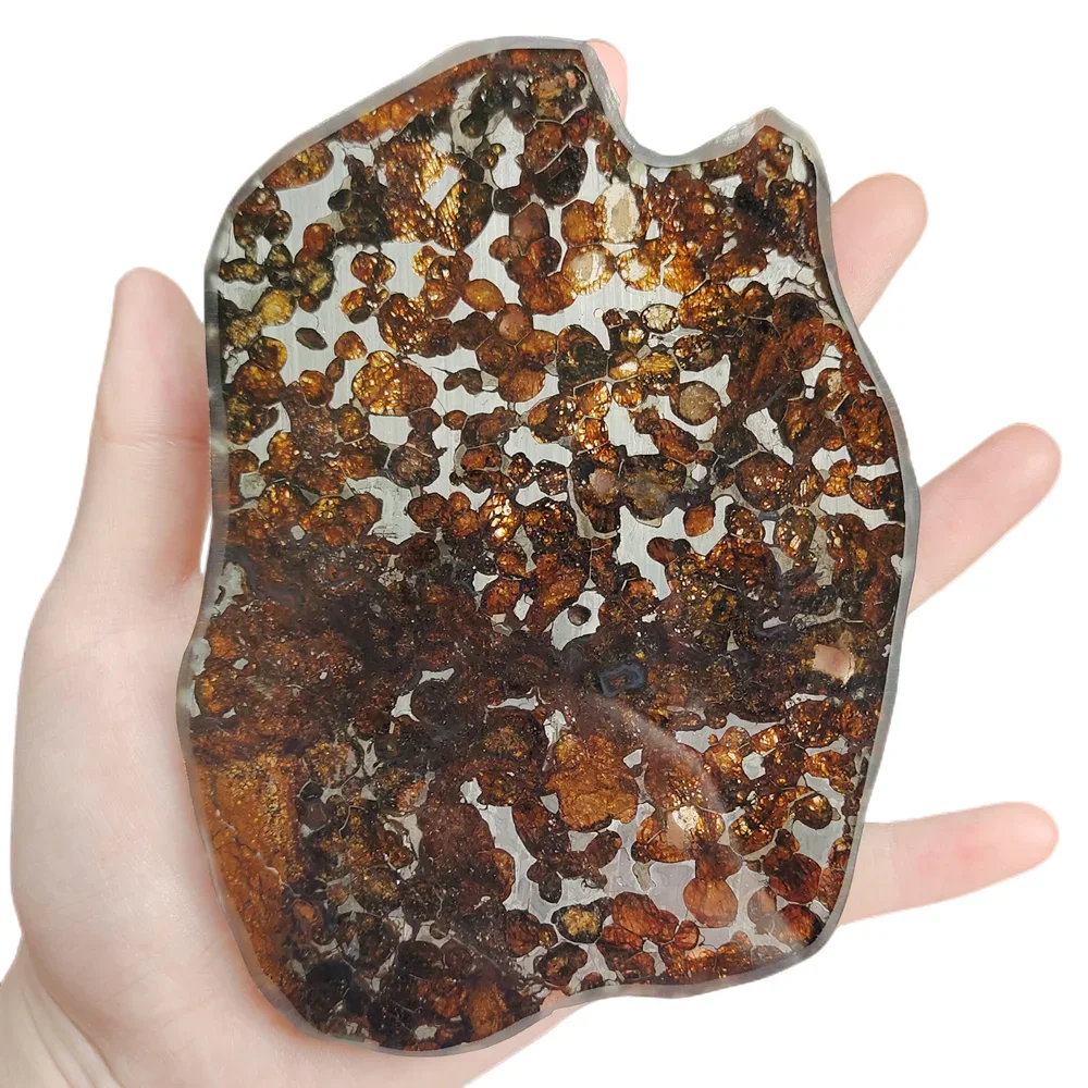 Kenya Olive Meteorite Sericho Оливковый метеорит Срез натурального метеорита Образец