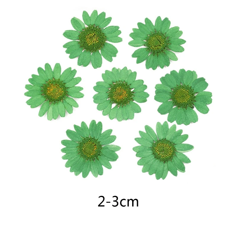 

M2EA 100Pcs Real Natural Dried Pressed Flowers White Daisy Pressed Flower for Resin Jewelry Nail Stickers Makeup Art Crafts