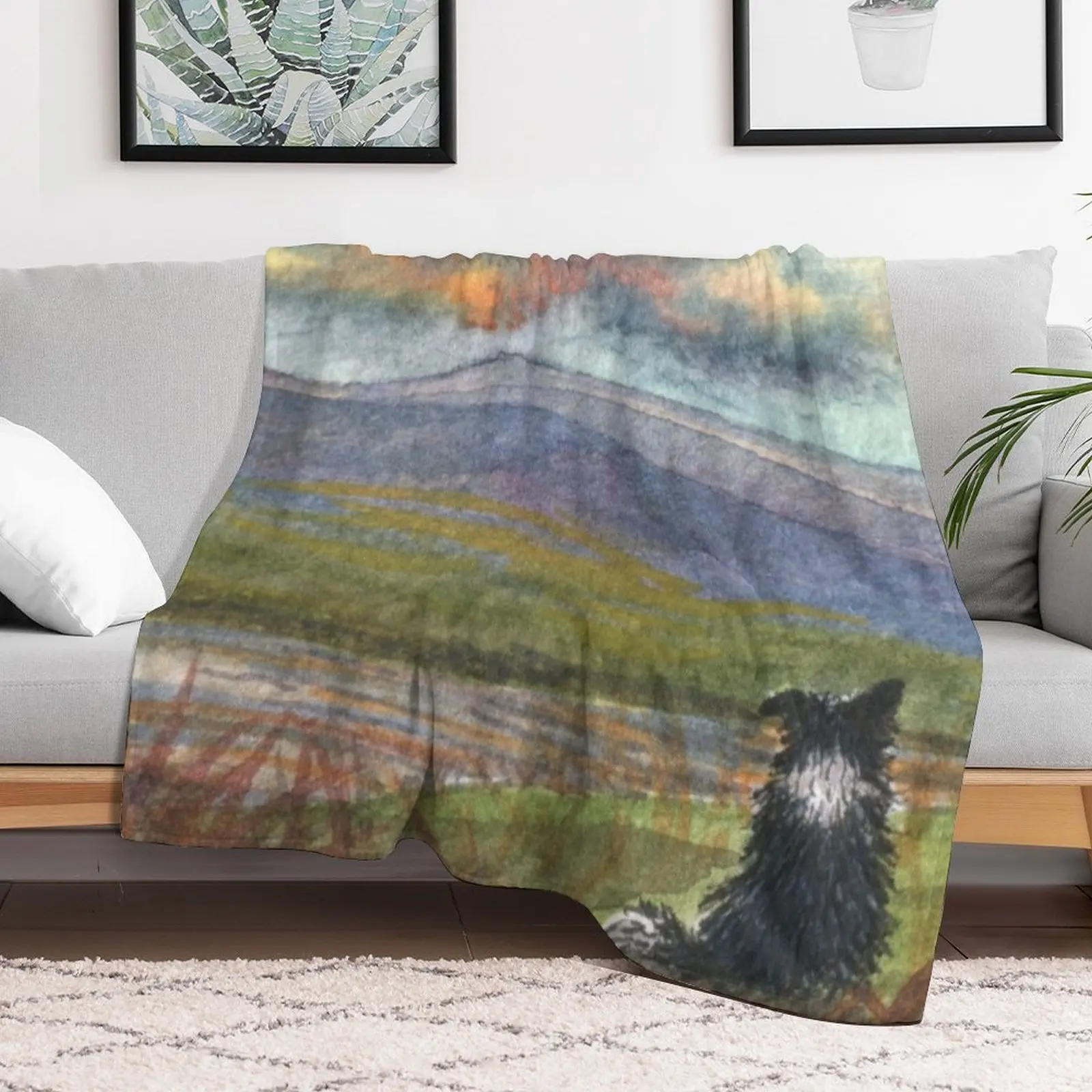 Бордер колли собака медитирует на горы и перед тем как он бросит одеяло Furrys для