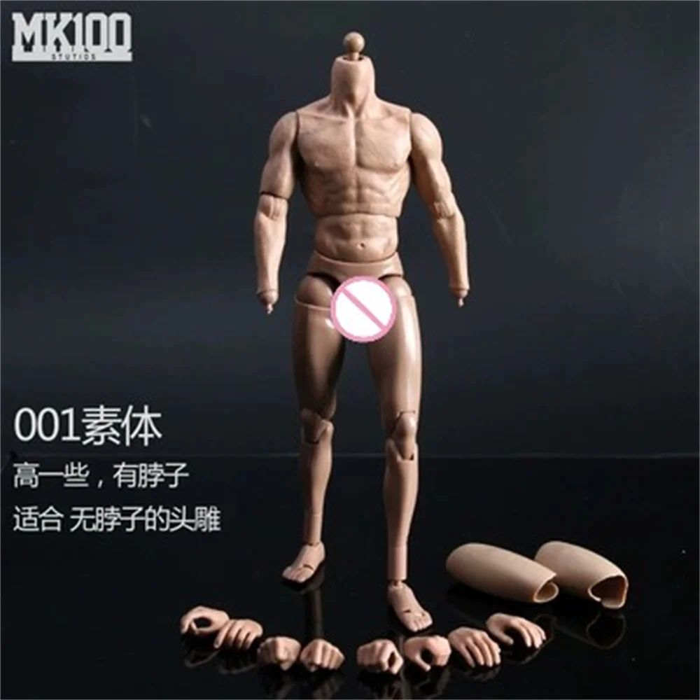 Model