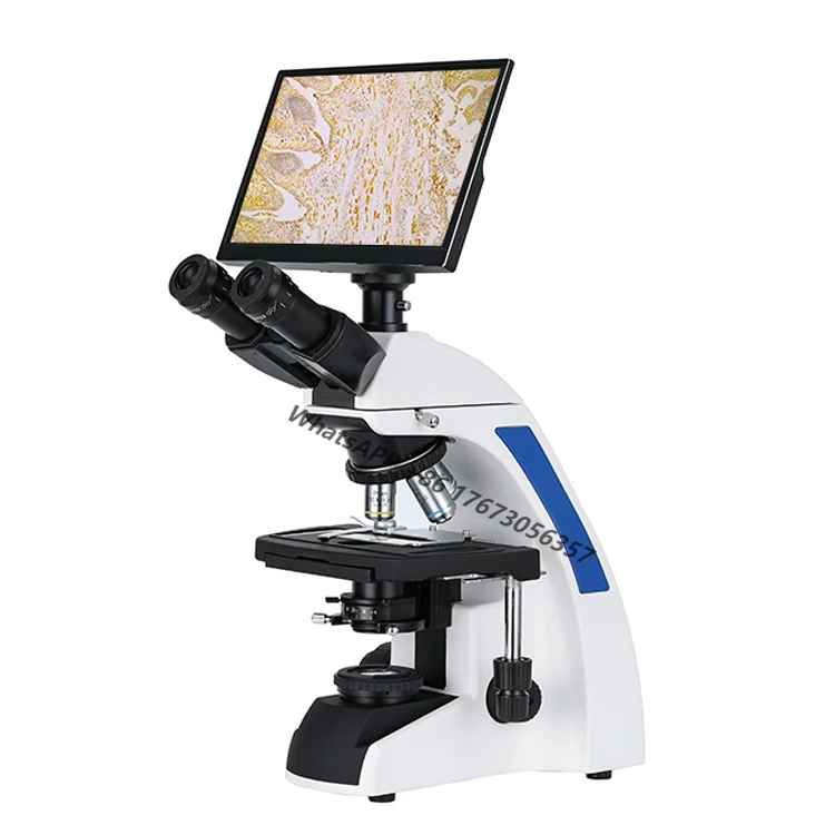 

Wholesale XSZ-207T WF10X/20mm seidentopf trinocular head biological video medical laboratory microscope