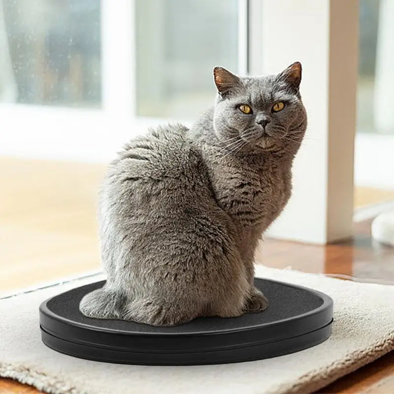 Когтеточка для кошачьих ногтей когтеточка собак эффективная пилочка