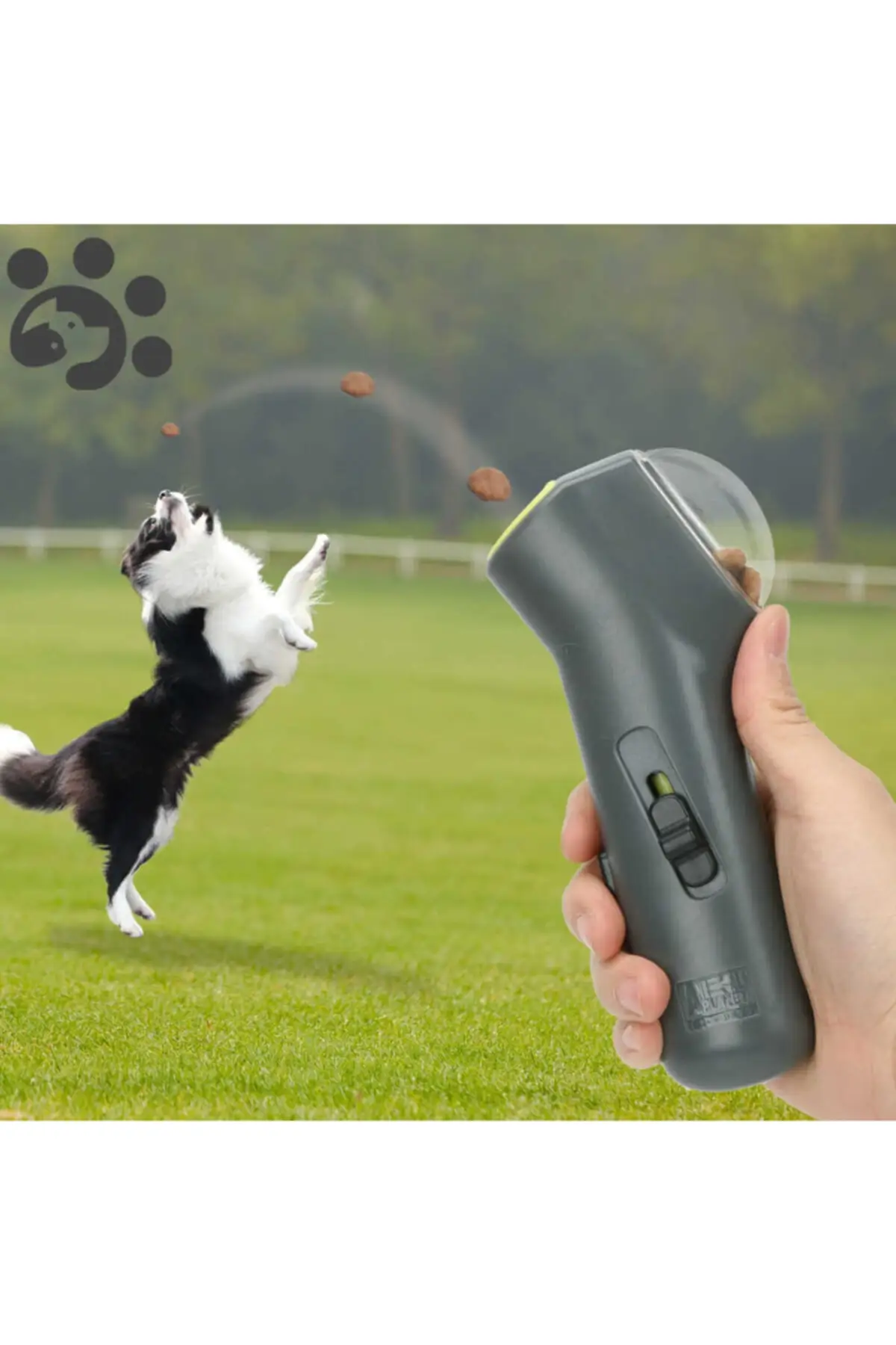 

Pets Cats Toys Cat-launch to Mama Hazzel of Dogs toy
