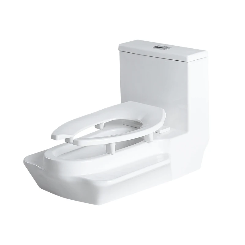 

Direct Flush Squatting and Sitting Dual Use Toilet Integrated 8.0 Large Pipe Large Bore Squatting and Sitting Toilet