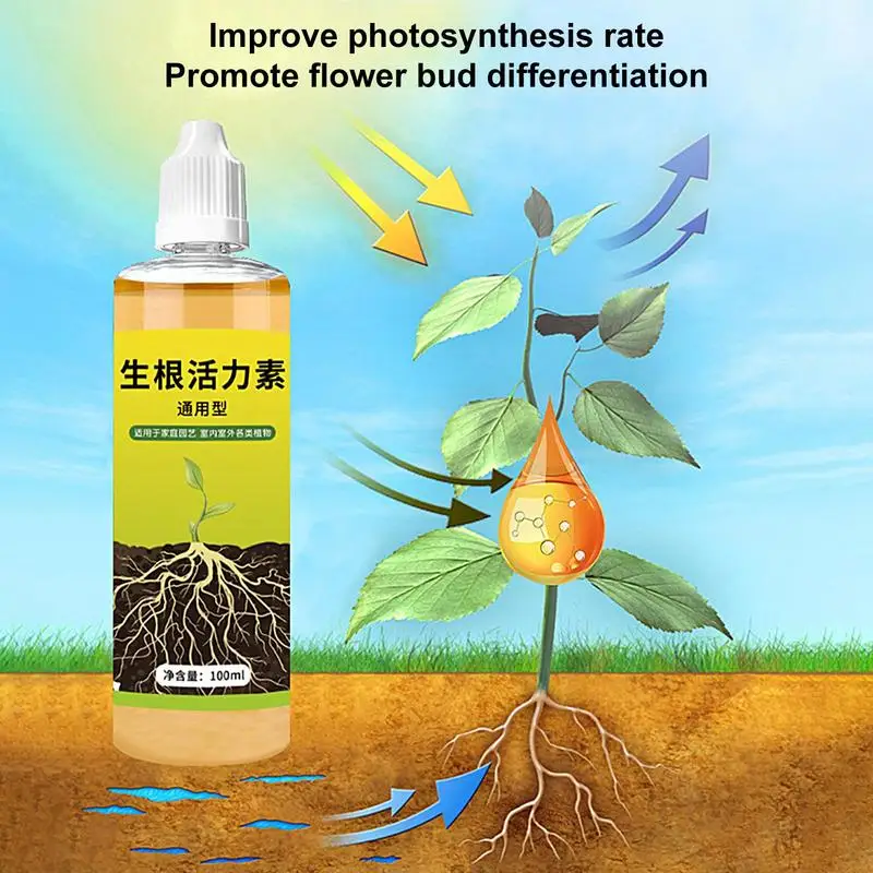 Рисунок 5 - Гормоны роста корней