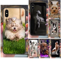 les jeunes dog puppies for huawei y5 y5p y6 y6p y6s y7 y7a y7p y9 lite prime pro 2018 2019 cell phone skin case
