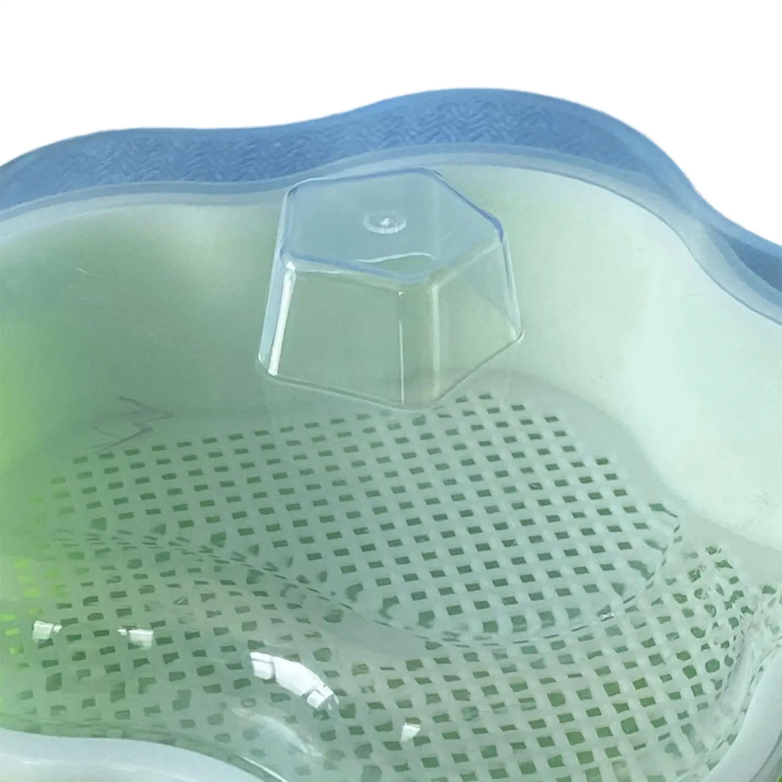 Лоток для проростков семян с крышкой Микрозелень выращивания ростков пшеничной