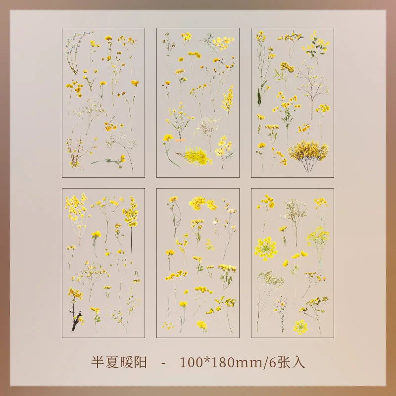 

Набор из 6 декоративных наклеек Mengtai