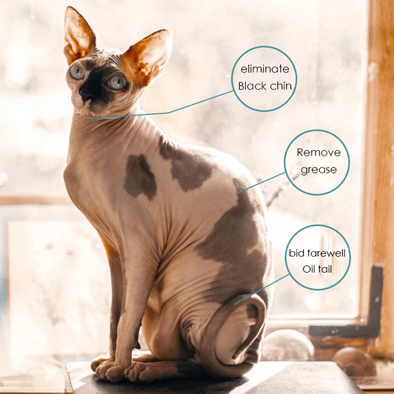 Шампунь с канадским сфинксом средство для мытья тела домашних животных кошки без