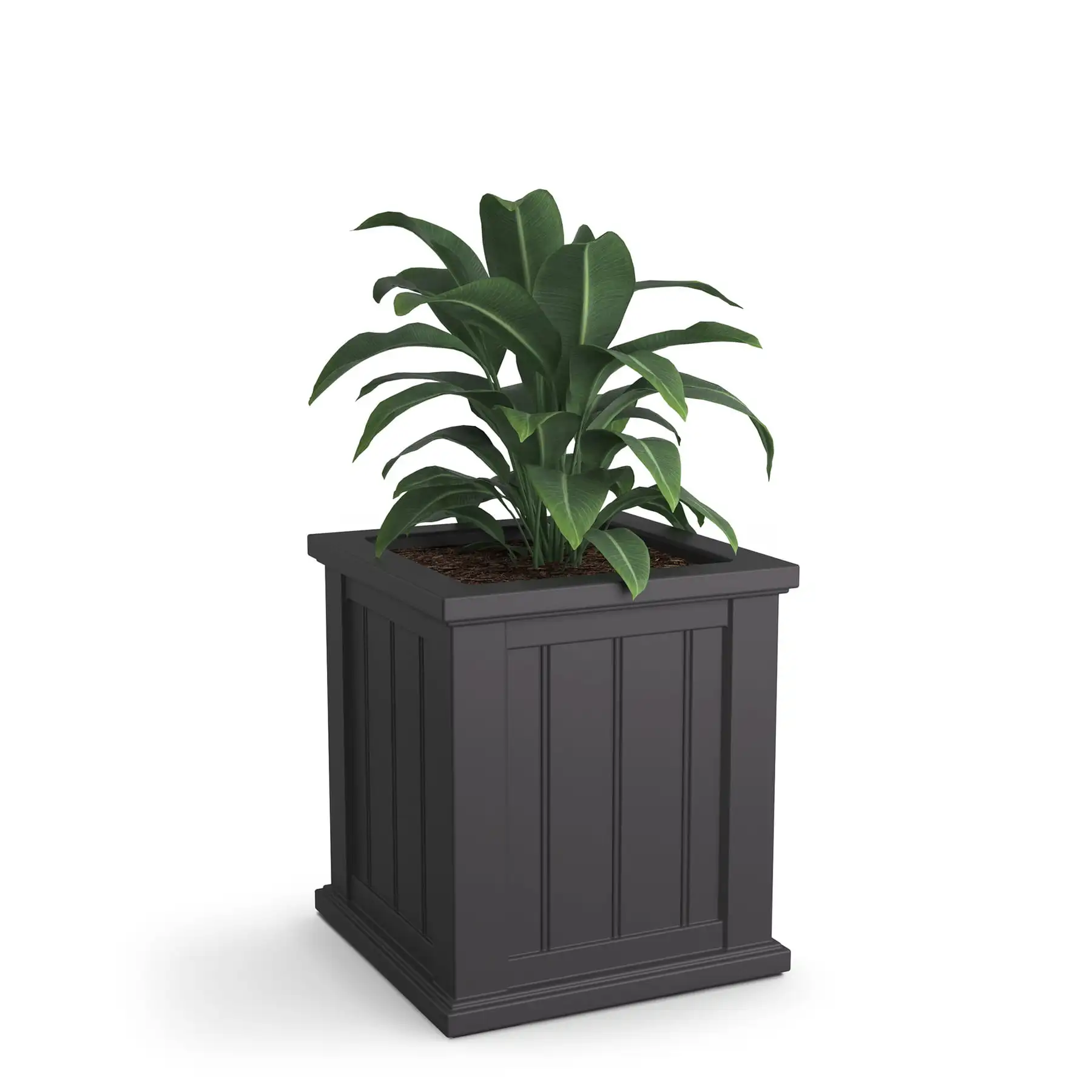 

Cape Cod 16x16 Square Planter - Graphite Grey