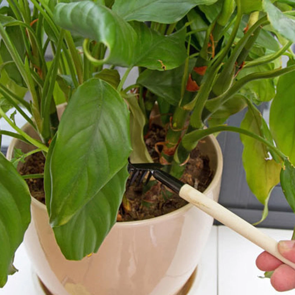 3 шт. мини садовая лопата грабли Erramientas бонсай набор инструментов деревянная