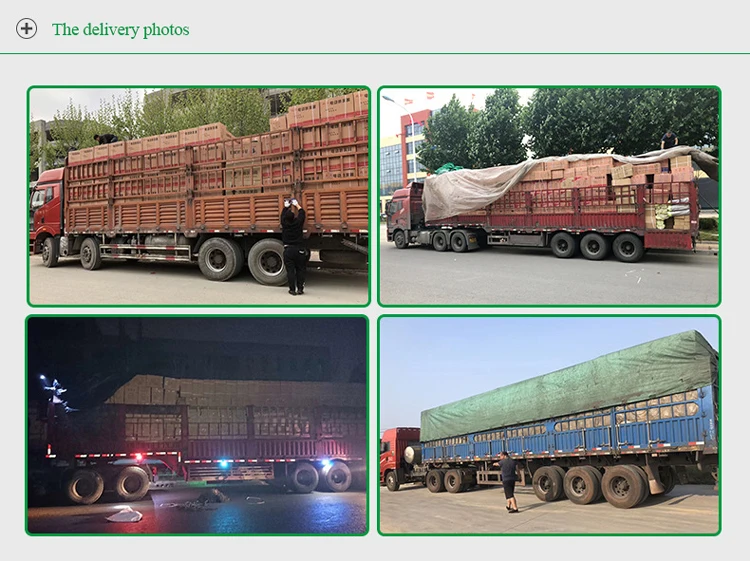 Сеялки и транссексуалы sembradora de maiz сеялка для кукурузы из хлопка регулируемые