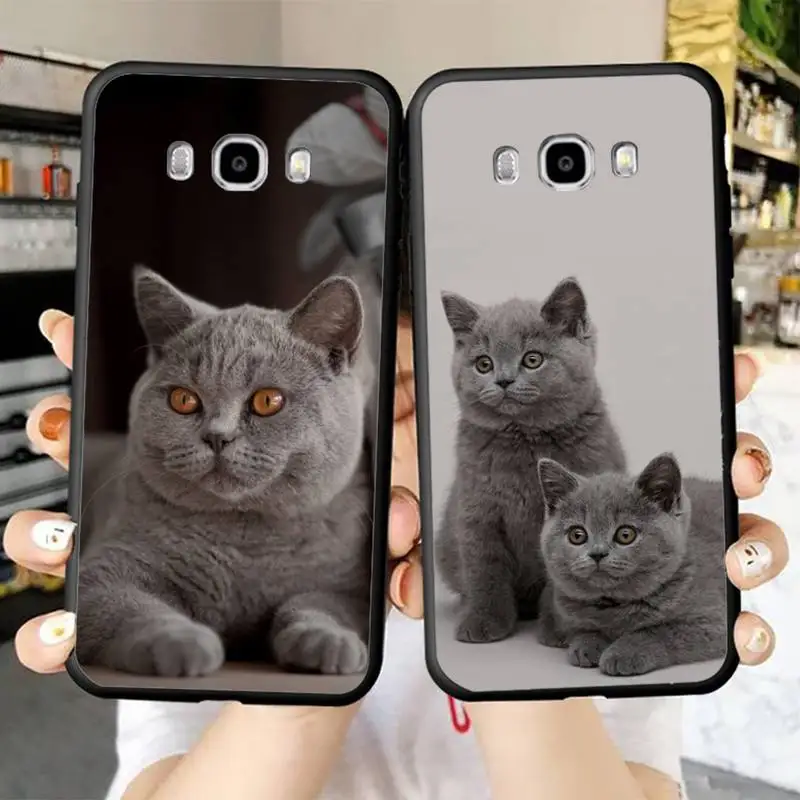 

British Shorthair Cat Phone Case For Samsung Galaxy J4 plus J6 J5 J72016 J7prime cover for J7Core J6plus