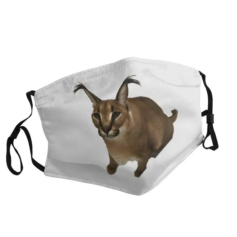 

Washable Big Floppa Meme Mask Funny Caracal Cat Anti Haze Dustproof Protection Cover Mask Respirator Mouth Muffle
