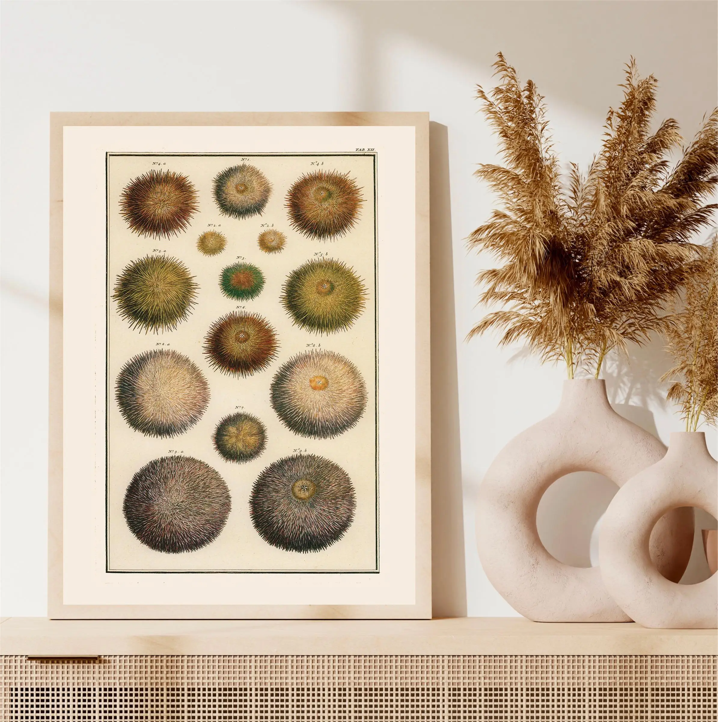 Картина на холсте с изображением морских животных размеры в ассортименте