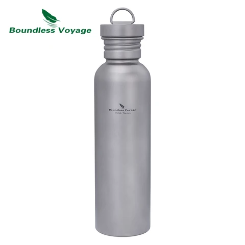 Бутылка для воды Boundless Voyage Ti3001D 550 мл титан