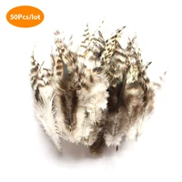 50pcs natural peacock pheasant feathers for crafts jewelry making accessorie wedding decoration dream catcher plumes
