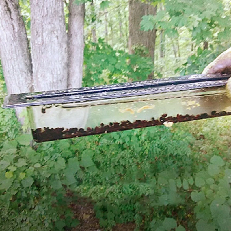 Ловушка для жуков Пластиковые ловушки Инструменты пчеловодства на ферме