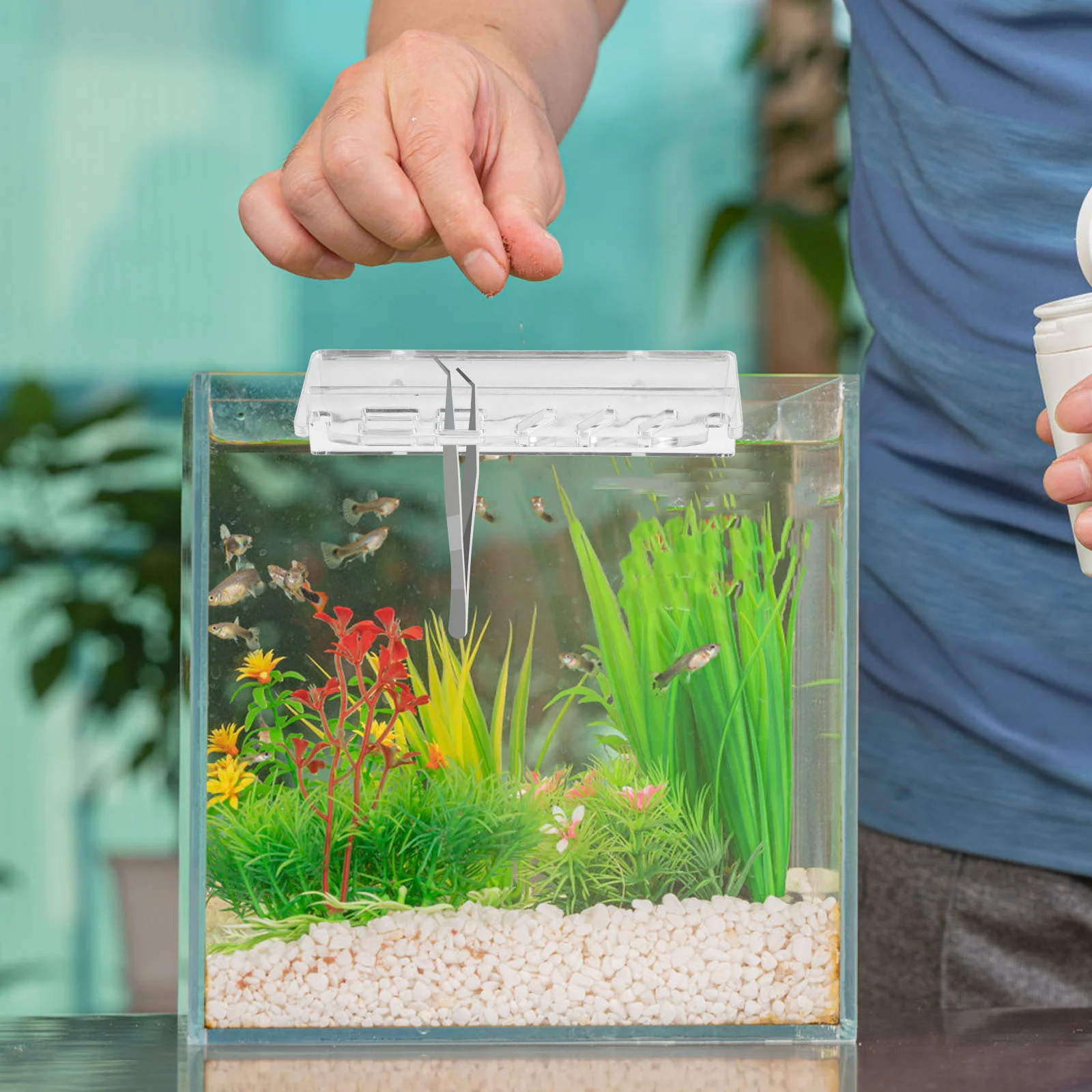 Органайзер для аквариума скребок хранения ножниц инструменты водорослей