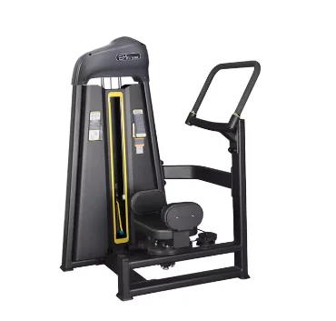 Профессиональные упражнения на тело сильное спортивное