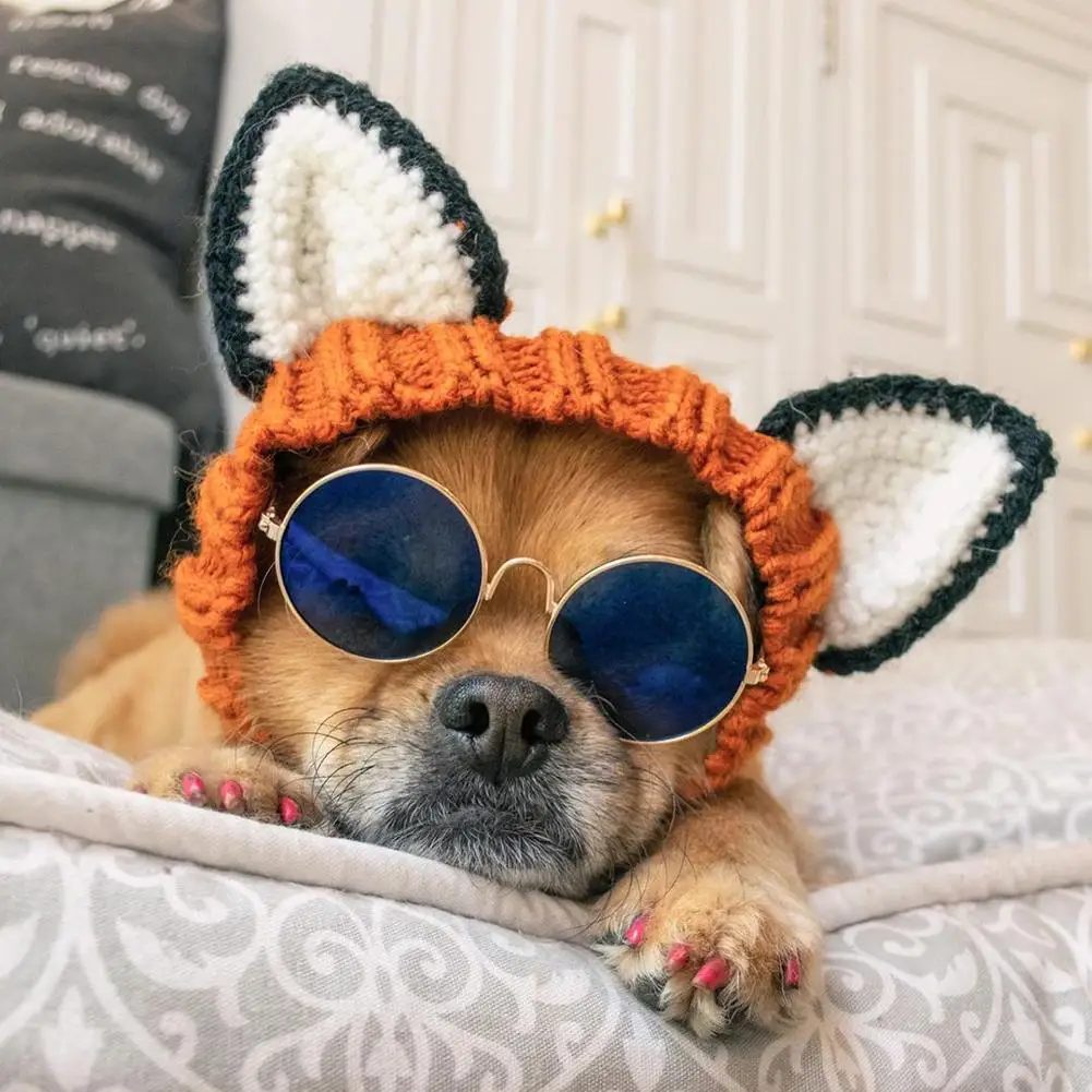 

NEW Pet Dog Warm Windproof Knitted Hat Animal Series Dress Up Pet Headgear Head Accessories Photo Props
