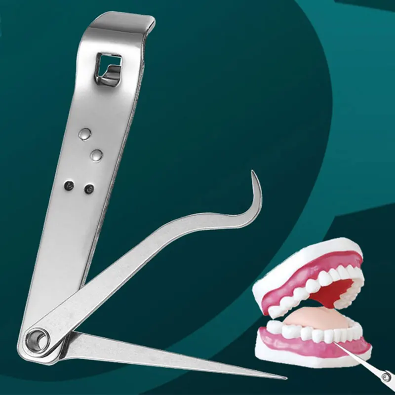 

1PCS Metal Stainless Steel Oral Cleaning Tooth Flossing Portable Pendant Toothpick