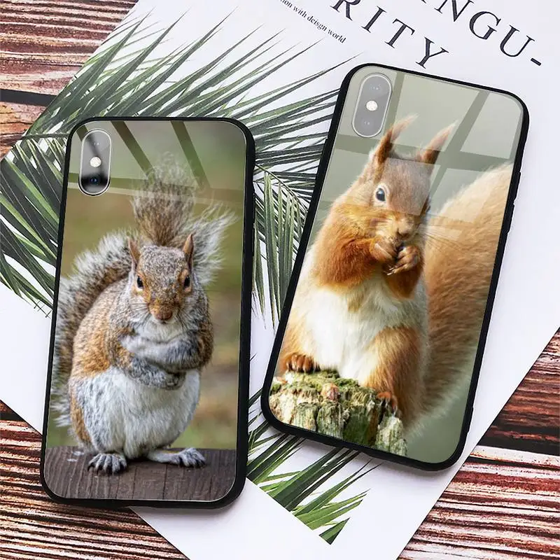 

squirrel cute animal Phone Case Tempered glass For iphone 11 12 13 PRO MAX mini 6 7 8 plus X XS XR