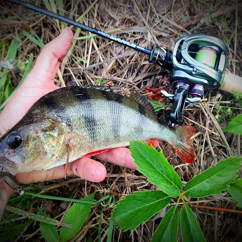 Kingdom 135g Ultra Light Spool Bait Finesse Baitcasting Fishing Reel Micro Monster 7.1:1 8.1:1 4kg Shallow Spool Light Game Coil