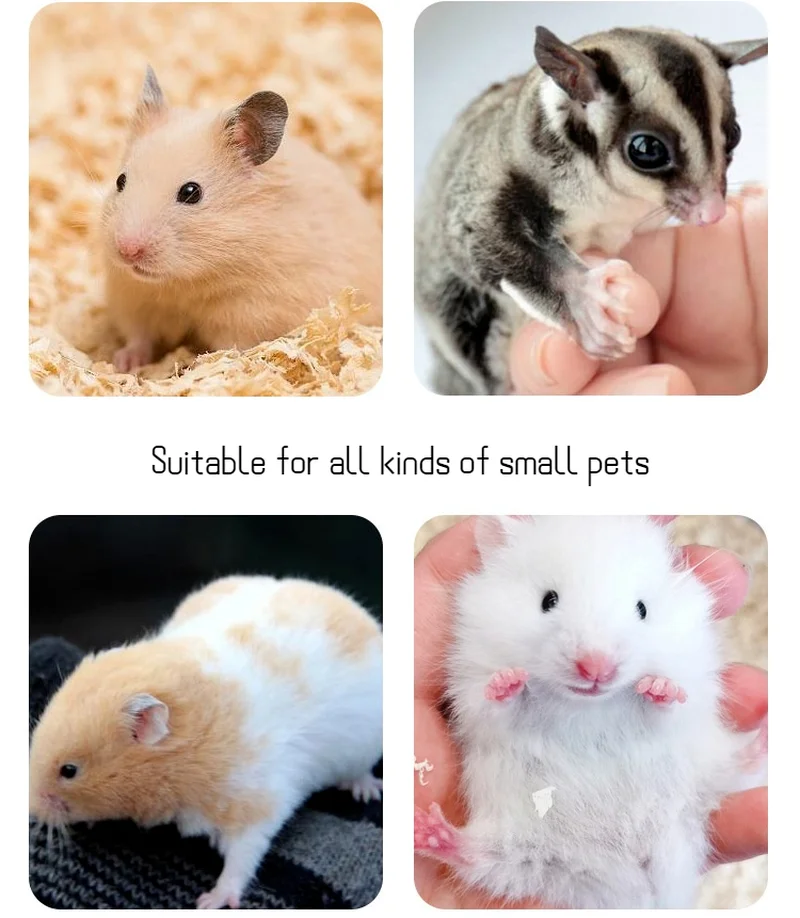 bear shaped hamster bathroom fully transparent observation bathroom hamster mouse toilet small pet cage box acrylic house free global shipping