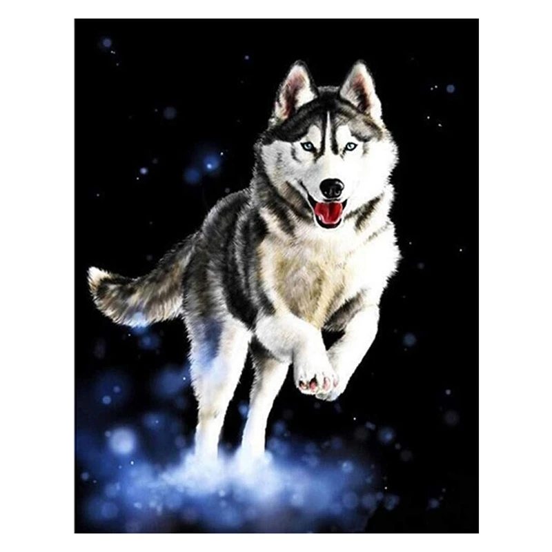 

Paint By Numbers Kits For Adult, DIY Canvas Painting For Adults Beginner-(Husky)