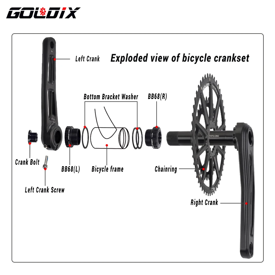 GOLDIX Ultralight Road Bike Crankset Double Chainring 50-34T/52-36T/53-39T 165/170/175mm Length All CNC Cutting Bicycle Crank