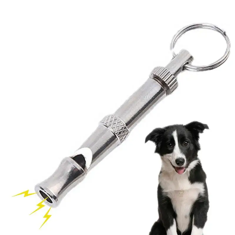 

Флейта для собак, задняя фотография, Серебряная флейта с регулируемыми частотами, фотография, 1 шт.