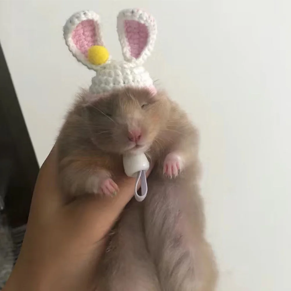 

Hamster Knitted Hat Accessories Decorative Chinchilla Pet Costume Accessory Lovely Small Squirrel Headdress Yarn Cosplay