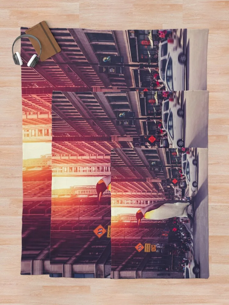 Персинатное одеяло для сна мягкие клетчатые декоративные одеяла пикника