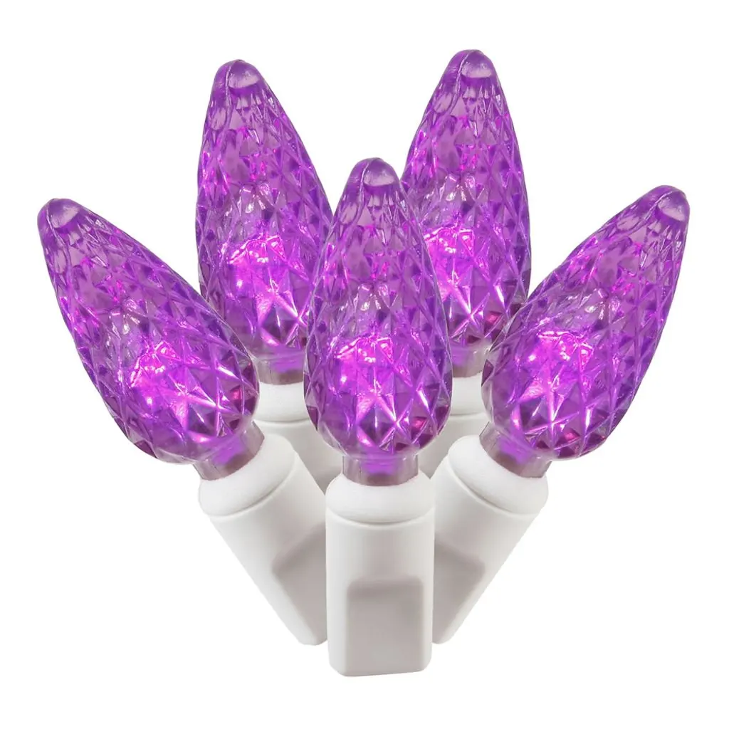 

Free Shipping Purple LED C6 Single Mold String Lights 50 Count