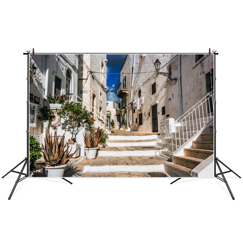 

Holiday Town Stairs Pathway Scenic Photography Backgrounds Custom Plant Pots Summer Vacation Party Decoration Photo Backdrops