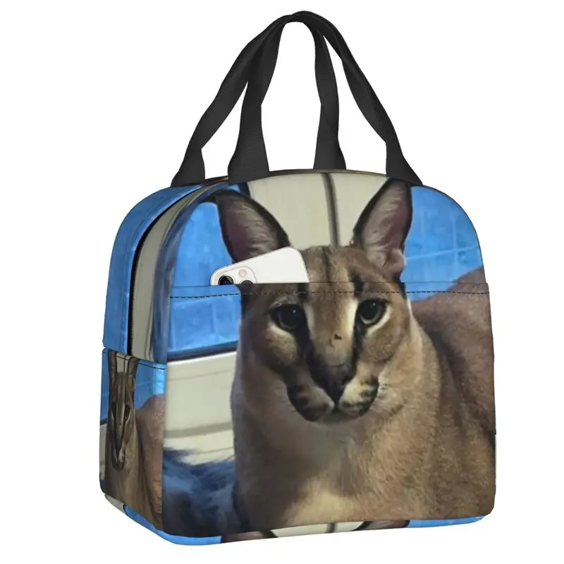 

Многоразовый Ланч-бокс Floppa с рисунком Каракала для женщин, водонепроницаемая Термосумка с милым котом для офиса и работы