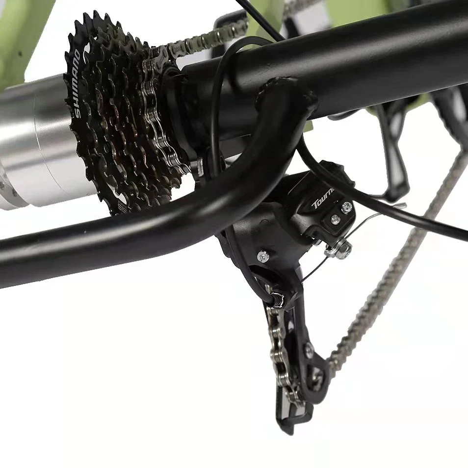 Трехколесный электрический трехколесный велосипед для взрослых Joyebikes Home Utility в винтажном стиле, 48 В, 500 Вт (art.: 3920c91c767f4) - 3920c91c767f4