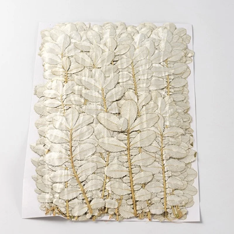 Женская потенция Гриффита II лист цветок гербарий ювелирные изделия открытка