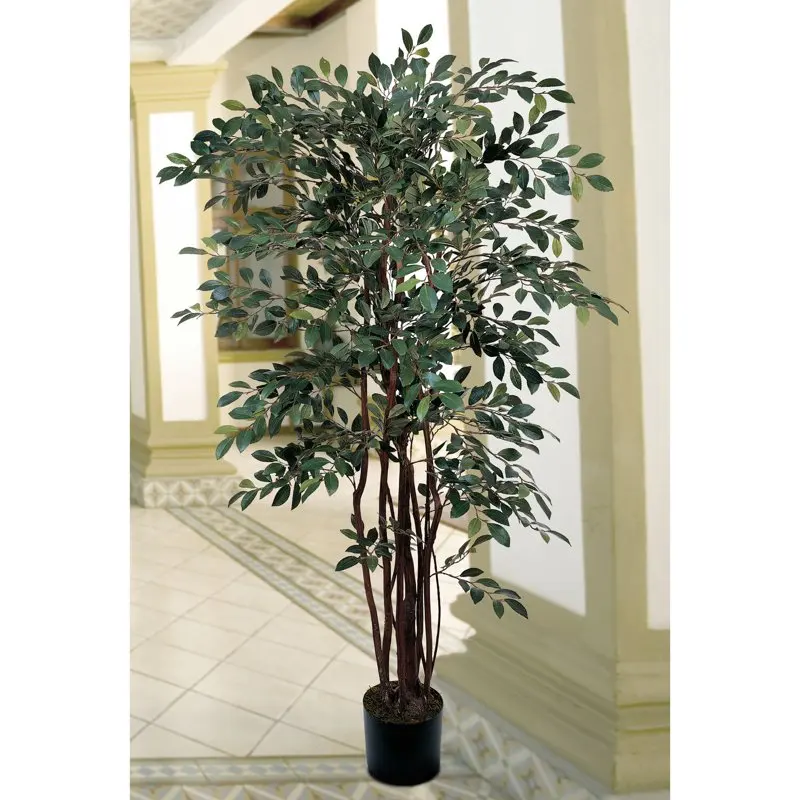 

Ruscus Silk Tree Green
