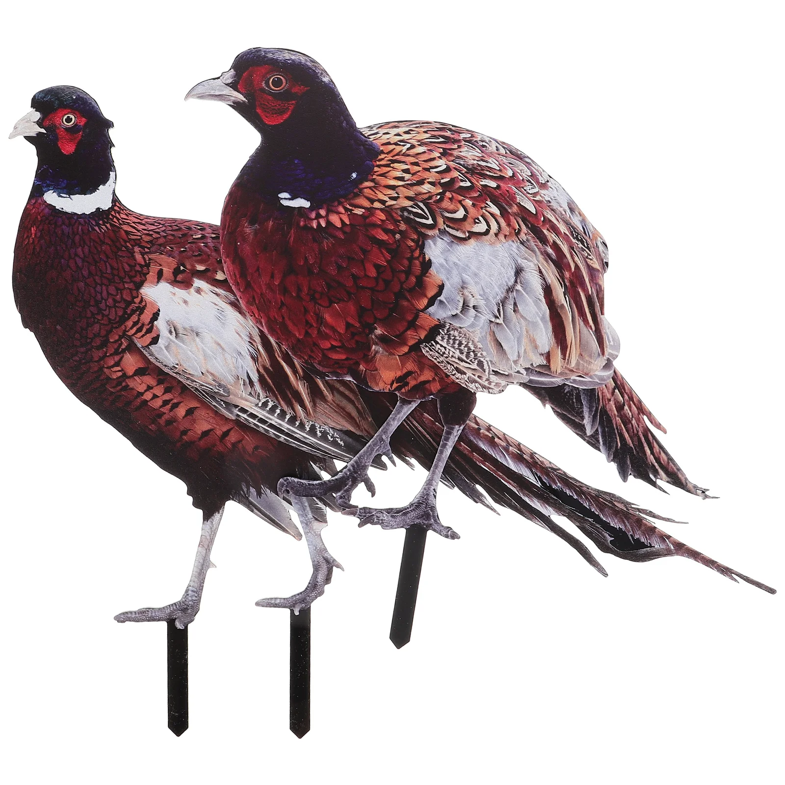 

2 Pcs Ground Inserted Pheasant Stake Adornment Shape Outdoor Accessories Yard Ornament Decorations Lawn