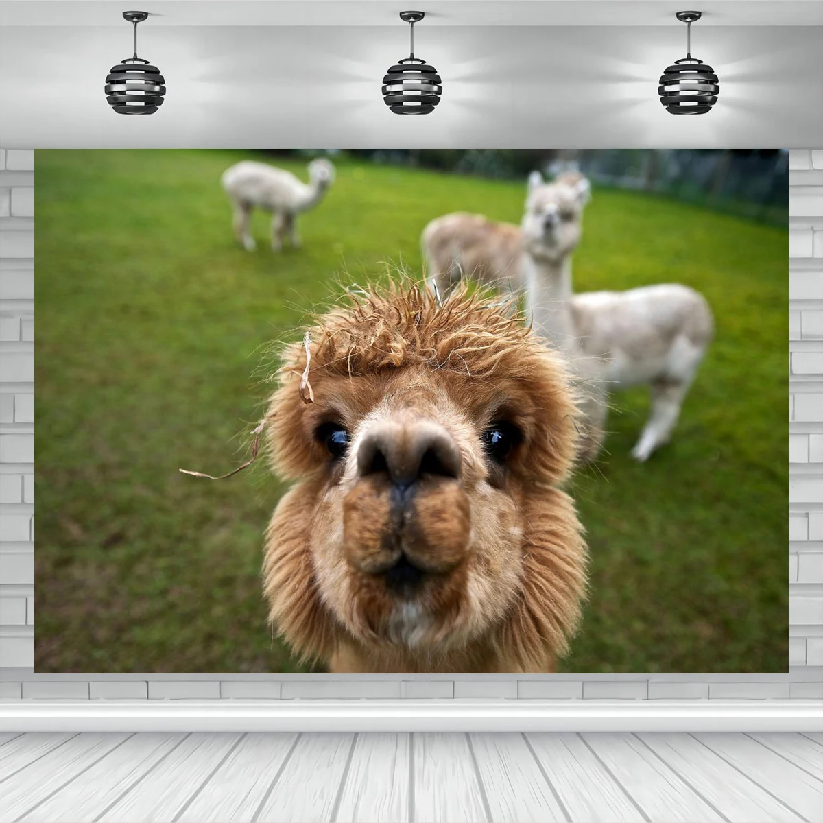 Виниловый фон HKFZ для фотосъемки с изображением животных