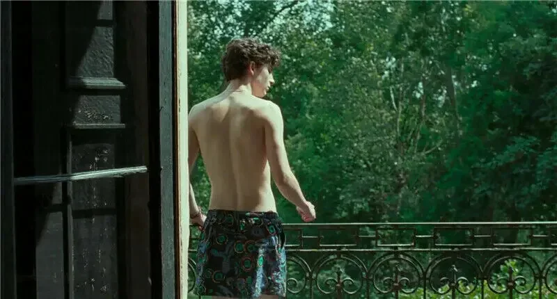 Call Me By Your Name Andre CMBYN Elio Шорты унисекс Короткие пляжные брюки Брюки Спортивные штаны