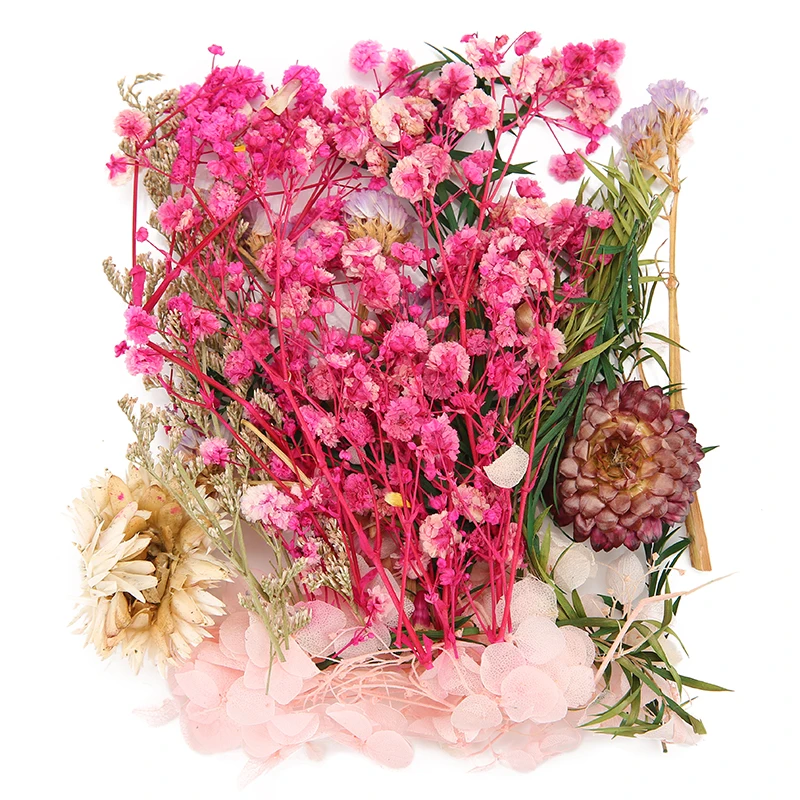 

Набор сухоцветов для декорирования Aclovex