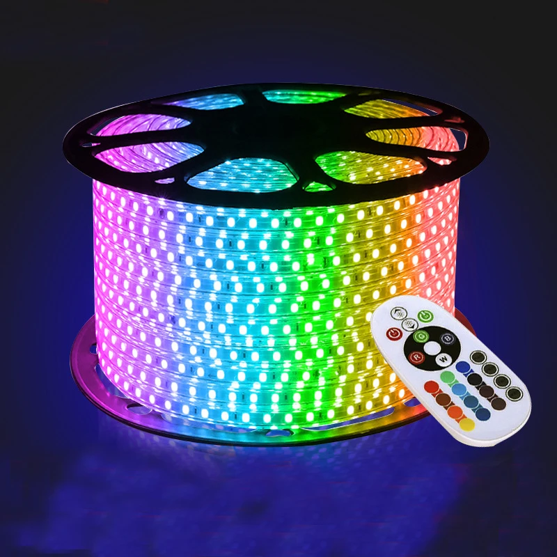 220V RGB LED Strip Multicolor With IR Remote Controller Waterproof  Flexible LED Light Strip Outdoor Ribbon Tape For Garden lamp