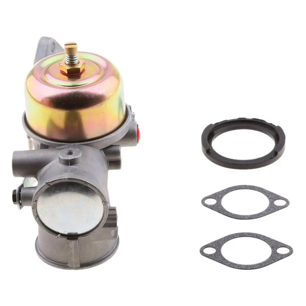 

Carburetor With Gasket Kit For 491031 490499 491026 & 281707 Carb