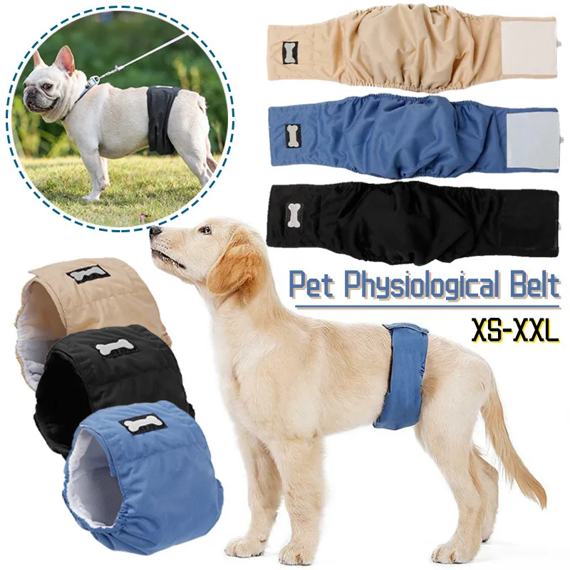 

Male Dog Shorts Prevent Bed Wetting Physiological Short Pet Underwear Male Dog Pants Adjusting Diapers for Dog Dog Diapers